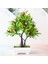 16 Örgü Biber Yapay Meyve Bonsai Yeşil Bitkiler Simülasyon Bitkiler Dekorasyon Bonsai Oturma Odası Dekorasyon Seramik Karo (Yurt Dışından) 1