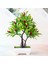 16 Örgü Biber Yapay Meyve Bonsai Yeşil Bitkiler Simülasyon Bitkiler Dekorasyon Bonsai Oturma Odası Dekorasyon Seramik Karo (Yurt Dışından) 4