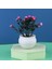 F Mini Masaüstü Küçük Saksı Yapay Aloe Vera Bitki Bonsai Bitki Sahte Çiçek Masası Saksı Dekorasyon Ev Bahçe Dekorasyonu (Yurt Dışından) 1