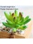 Hong Xin Bei Hua 39 Stilleri Yeşil Yapay Succulents Bitkiler Ev Bahçe Düğün Doğum Günü Partisi Noel Cadılar Bayramı Dekorasyon Sahte Bitkiler Bonsai (Yurt Dışından) 2