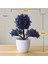 17X7 cm Yapay Mini Bonsai Ağacı Saksı Çiçeği Simüle Ağacı Dekor Bitki Sahte Çiçek Saksı Süs Ev Odası Bahçe Dekorasyonu Için (Yurt Dışından) 4