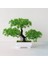 Yunsong Yeşil Yapay Bitkiler Bonsai Ev Çam Çiçeği Masaüstü Süsler Yaratıcı Küresel Bitki Aksesuarları Yatak Odası Dekoru Sahte Bitkiler (Yurt Dışından) 1