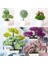 Yunsong Yeşil Yapay Bitkiler Bonsai Ev Çam Çiçeği Masaüstü Süsler Yaratıcı Küresel Bitki Aksesuarları Yatak Odası Dekoru Sahte Bitkiler (Yurt Dışından) 2