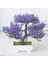 Yunsong Yeşil Yapay Bitkiler Bonsai Ev Çam Çiçeği Masaüstü Süsler Yaratıcı Küresel Bitki Aksesuarları Yatak Odası Dekoru Sahte Bitkiler (Yurt Dışından) 3