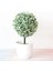 Yunsong Yeşil Yapay Bitkiler Bonsai Ev Çam Çiçeği Masaüstü Süsler Yaratıcı Küresel Bitki Aksesuarları Yatak Odası Dekoru Sahte Bitkiler (Yurt Dışından) 4