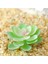 Stil 10 Yeşil Akın Yapay Succulents Bitkiler Ev Bahçe Dekorasyon Çiçek Aranjmanı Banyo Aksesuarları Planta Yapay (Yurt Dışından) 4