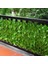 Leaf2 0.5m x 1m Yapay Bitkiler Sarmaşık Gizlilik Çit Ekranı 118X19.7IN Çit Çit Yeşil Yaprak Ekran Duvar Dekoratif Zemin Bahçe Dekor Için (Yurt Dışından) 4