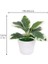 13 Yapay Bitki Yapay Çiçek Ev Dekor Bonsai Ağacı Saksı Bitki Sahte Çiçek Saksı Süs Ev Odası Bahçe Dekorasyonu Için (Yurt Dışından) 2