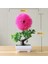 Jinyushu Pembe Yeni 1 Adet Büyüleyici Yapay Bitki Bonsai Simülasyon Küçük Ağaç Pot Bitki Saksı Parti Düğün Dekor Dıy Ev Gereçleri Sahte Bitki (Yurt Dışından) 1