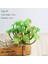 B 1 Adet 1 Adet Yapay Kaktüs Succulents Bonsai Çiçekler Dıy Ev Dekoru Sahte Bitkiler Manzara Masa Dekoratif Çöl Bitki (Yurt Dışından) 4
