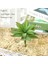 B 1 Adet 1 Adet Yapay Kaktüs Succulents Bonsai Çiçekler Dıy Ev Dekoru Sahte Bitkiler Manzara Masa Dekoratif Çöl Bitki (Yurt Dışından) 5