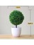 Kartopu Yeşil Plantas Artificiales Yapay Bitki Bonsai Küçük Ağaç Saksı Yatak Odası Dekor Süsler Ev Odası Masa Tropikal Bahçe Dekorasyon (Yurt Dışından) 1