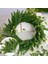 B02-20PCS 1 Paket Noel Çam Dalları Kar Yapay Bitkiler Çam Iğneleri Noel Ağacı Çelenk Ev Dekorasyonu Noel Yeni Yıl Hediyeleri (Yurt Dışından) 4