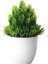 Yeşil 2 Karşılama Çam Bonsai Yapay Plastik Yeşil Bitki Saksı Sahte Küçük Ağaç Ev Masa Dekorasyon Bahçe Düzenleme Süsler (Yurt Dışından) 1