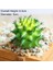 Yeşil Xianrenqiu Yeşil Yapay Succulents Bitkiler Ev Bahçe Yatak Odası Balkon Masaüstü Masa Mini Bonsai Düğün Parti Dekorasyon Sahte Bitkiler (Yurt Dışından) 2