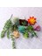 Fr Tian Shuang Lian Yeşil Yapay Succulents Bitkiler Masaüstü Mini Küçük Bonsai Ev Bahçe Yatak Odası Oturma Odası Ofis Dekorasyon Aksesuarları (Yurt Dışından) 1