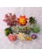 Fr Tian Shuang Lian Yeşil Yapay Succulents Bitkiler Masaüstü Mini Küçük Bonsai Ev Bahçe Yatak Odası Oturma Odası Ofis Dekorasyon Aksesuarları (Yurt Dışından) 4
