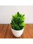 D Yapay Bitkiler Saksı Yeşil Bonsai Küçük Ağaç Çim Bitkiler Pot Süs Sahte Çiçekler Ev Bahçe Dekorasyonu Düğün Parti Için (Yurt Dışından) 1