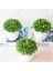 Gümüş Yapay Bitkiler Bonsai Küçük Ağaç Çim Bitkileri Pot Ev Aksesuarları Dekorasyon Çiçekler Bahçe Dekorasyon Düğün Parti Için (Yurt Dışından) 4