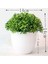 Gümüş Yapay Bitkiler Bonsai Küçük Ağaç Çim Bitkileri Pot Ev Aksesuarları Dekorasyon Çiçekler Bahçe Dekorasyon Düğün Parti Için (Yurt Dışından) 5