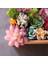 Chunsejiwalian Çeşitli Yapay Etli Bitkiler Lotus Peyzaj Dekoratif Çiçek Mini Yeşil Sahte Succulents Bitki Bahçe Düzenleme Dekor (Yurt Dışından) 4