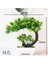 1 Kafa Feng Wei Cao Yeşil Yapay Çam Ağacı Monstera Farsça Çim Okaliptüs Bitkiler Bonsai Ev Aksesuarları Yatak Odası Oturma Odası Dekor Sahte Bitki (Yurt Dışından) 5