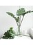 Zhonggan Lightgreen Tek Parça Monstera Yapay Bitkiler Plastik Tropikal Palmiye Ağacı Yaprakları Ev Bahçe Dekorasyonu Aksesuarları Fotoğraf Dekoratif (Yurt Dışından) 4