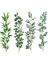A04652-1PC 1m Yapay Bambu Yaprakları Çiçek Aranjmanı Yapay Bahar Bitki Uzun Çubuk Okaliptüs Yaprakları (Yurt Dışından) 1