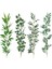 A04652-1PC 1m Yapay Bambu Yaprakları Çiçek Aranjmanı Yapay Bahar Bitki Uzun Çubuk Okaliptüs Yaprakları (Yurt Dışından) 4