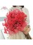 Mavi 90G Doğal Taze Kurutulmuş Korunmuş Çiçekler Gypsophila Ebedi Nefes Buketleri Sevgililer Günü Hediyesi Düğün Boho Ev Dekor Paniculata (Yurt Dışından) 4
