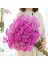 Mavi 90G Doğal Taze Kurutulmuş Korunmuş Çiçekler Gypsophila Ebedi Nefes Buketleri Sevgililer Günü Hediyesi Düğün Boho Ev Dekor Paniculata (Yurt Dışından) 5