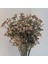 Beyaz 62 Cm/adet 81 Yüksek Kaliteli Küçük Çiçekler Sonbahar Renk Hissediyorum Yumuşak Kauçuk Gypsophila Kuru Çiçek 6 Renk Pvc Buket Ev Dekorasyon (Yurt Dışından) 4
