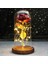 Bir Galaxy Gül Çiçek 24K Folyo Kaplama Altın Gül Yaratıcı Altın Gökkuşağı Güzellik ve Canavar Gül Sevgililer Günü Hediyesi Düğün Dekoru (Yurt Dışından) 3