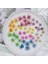 L139 60 Adet Preslenmiş Kurutulmuş 20-25MM Ammi Majus Çiçekler Bitki Herbaryum Takı Kartpostal Davetiye Kartı Telefon Kılıfı Imi Dıy (Yurt Dışından) 3
