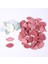 Gül Kırmızı Yapraklar 50 Adet 50/100 Adet Sahte Ağaç Yaprağı Mini Yapay Yapraklar Düğün Ev Dekorasyonu Için Dıy El Yapımı Çelenk Scrapbooking Craft Aksesuarları (Yurt Dışından) 1
