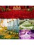 Mor 1000PCS 500/1000PCS Yapay Gül Yaprakları Renkli Romantik Düğün Yıldönümü Ipek Gül Çiçek Düğün Dekorasyon Için Güller Malzemeleri (Yurt Dışından) 4