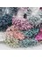 F03 800 Adet 400/800/4000 Adet 1.5mm Mini Inci Çiçek Ercik Pistil Çift Kafaları Düğün Ev Dekorasyonu Dıy El Sanatları Scrapbooking Sahte Çiçekler (Yurt Dışından) 3