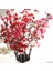 G Erik Kiraz Çiçekleri Yapay Ipek Çiçekler Flores Sakura Ağacı Dalları Ev Masa Oturma Odası Dekor Dıy Düğün Dekorasyon (Yurt Dışından) 3