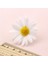 4 cm Fuşya 10 Adet/grup Ipek Yapay Çiçekler Papatya Sahte Çiçekler Yaz Plaj Fotoğrafçılığı El Yapımı Dıy Düğün Ev Dekorasyon Aksesuarları (Yurt Dışından) 4