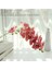 Gül Kırmızı Orkide 80 cm Büyük 3D 11/7 Kafaları Pvc Yapay Çiçek Orkide Phalaenopsis Saksı Bitkileri Peyzaj Düğün Çiçek Aranjmanı Ev Dekor (Yurt Dışından) 1