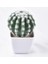 1 (Pot Yok) Yapay Plastik Kaktüs Succulents Dikenli Armut Saksı Bitki Yok Pot Çevre Dostu Simülasyon Ev Ofis Masaüstü Dekorasyon Sıcak (Yurt Dışından) 1