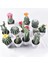 1 (Pot Yok) Yapay Plastik Kaktüs Succulents Dikenli Armut Saksı Bitki Yok Pot Çevre Dostu Simülasyon Ev Ofis Masaüstü Dekorasyon Sıcak (Yurt Dışından) 2