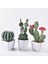 1 (Pot Yok) Yapay Plastik Kaktüs Succulents Dikenli Armut Saksı Bitki Yok Pot Çevre Dostu Simülasyon Ev Ofis Masaüstü Dekorasyon Sıcak (Yurt Dışından) 3