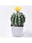 1 (Pot Yok) Yapay Plastik Kaktüs Succulents Dikenli Armut Saksı Bitki Yok Pot Çevre Dostu Simülasyon Ev Ofis Masaüstü Dekorasyon Sıcak (Yurt Dışından) 4