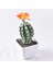 1 (Pot Yok) Yapay Plastik Kaktüs Succulents Dikenli Armut Saksı Bitki Yok Pot Çevre Dostu Simülasyon Ev Ofis Masaüstü Dekorasyon Sıcak (Yurt Dışından) 5