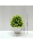 27 Yapay Saksı Bitki Bonsai Portakal Nar Meyve Ağacı Pot Plastik Bahçe Sahte Bitki Dekorasyon Ev Dekorasyon (Yurt Dışından) 1