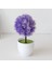 51 Sümbül Mor Kiraz Kartopu Simülasyon Bitki Saksı Çim Topu Bonsai Küçük Ağaç Ev Dekorasyon Çiçek Süsler Yaratıcı Mini Top (Yurt Dışından) 1