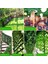 Boston Sarmaşık 1 Adet 2.2 M Simülasyon Ivy Scindapsus Aureus Ivy Yaprakları Ivy Vines Yeşil Yapraklar Yapay Çiçek Düğün (Yurt Dışından) 4