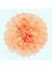 Şeftali Turuncu 12 Inç 30CM 5 Adet 4 6 8 10 12 Inç Kağıt Mendil Pom Pom Poms Düğün Partisi Kağıt Ponpon Çiçek Düğün Dekorasyon Için Ponponlar Doğum Günü Bebek (Yurt Dışından) 1