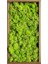 03 500G 1000G Yapay Bitkiler Ebedi Yaşam Yosun/bahçe Ev Dekor Duvar Dıy Çiçek Malzeme Mini Bahçe Mikro Peyzaj Sahte Yosun Hediye (Yurt Dışından) 1